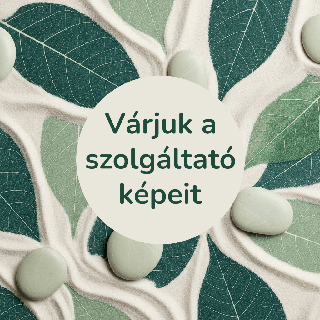 Békés Kertépítő Kft.